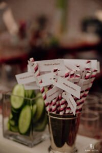 Lavanya_Pranav-RamitBatra-1014