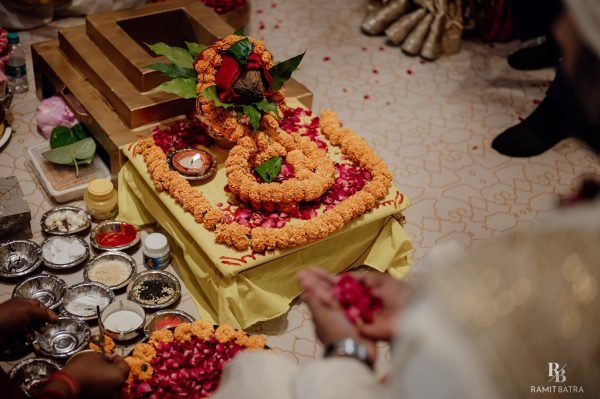 NEW WEDDING IMAGES (588)